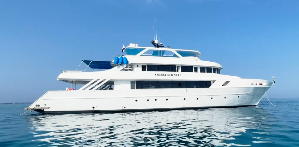 DOLFIJNENREIS - Sataya Reef - Egypte | 26 Sep - 3 Oct 2026