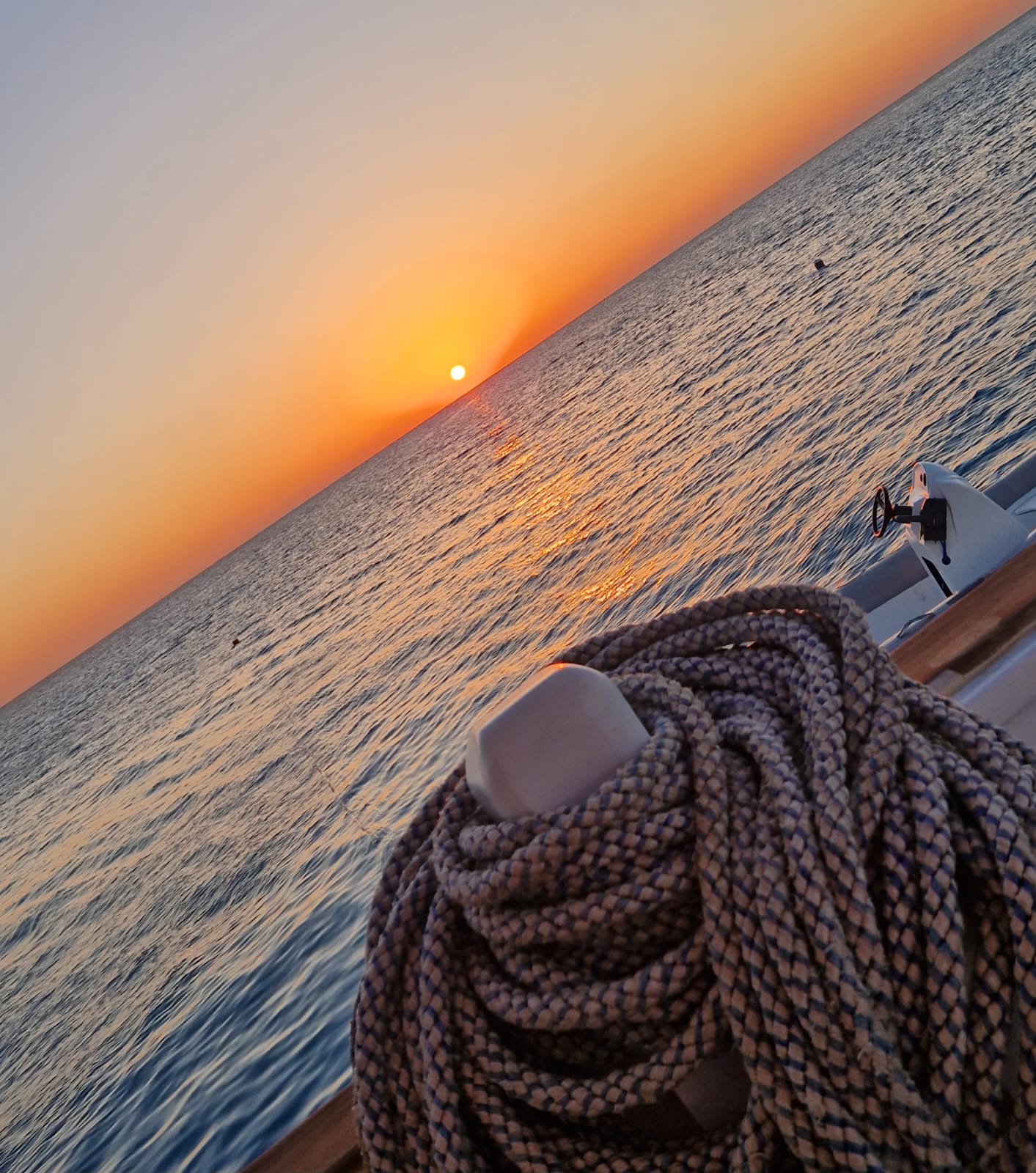 DOLFIJNENREIS - Sataya Reef - Egypte | 26 Sep - 3 Oct 2026