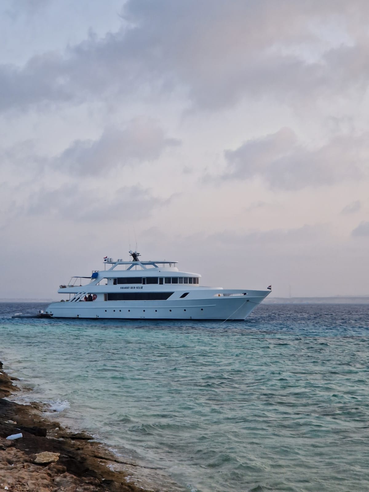 DOLFIJNENREIS - Sataya Reef - Egypte | 26 Sep - 3 Oct 2026