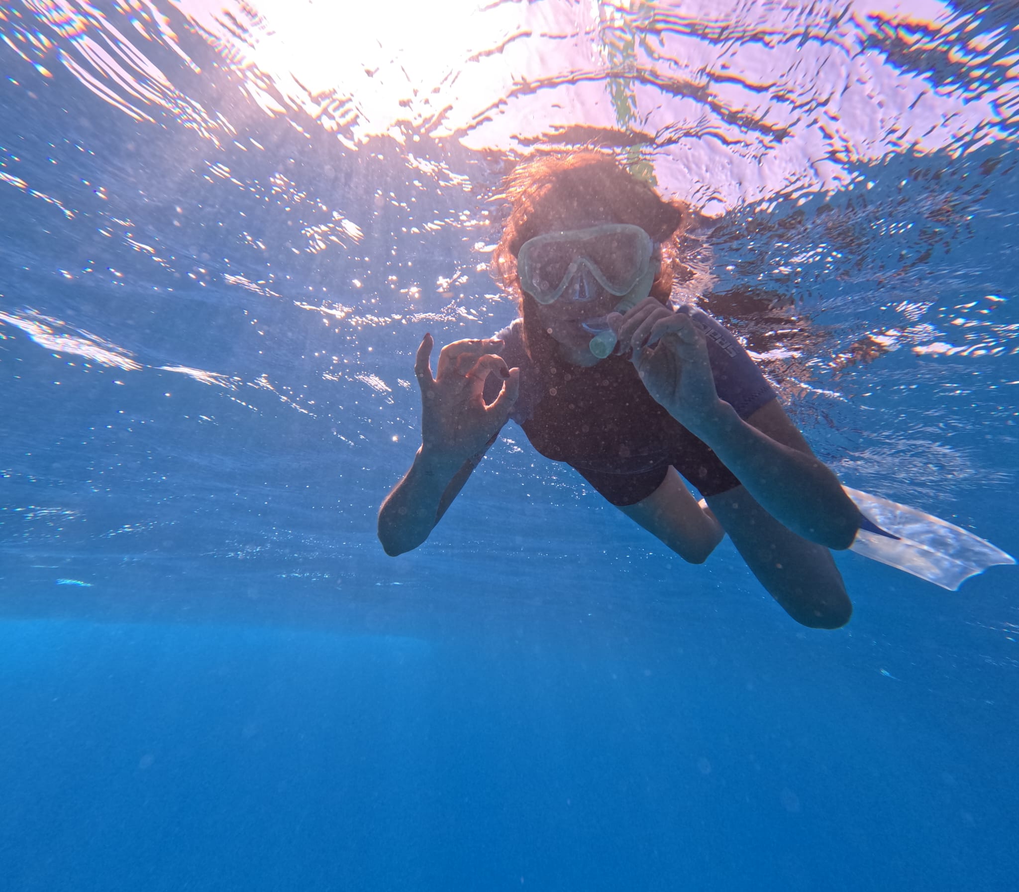 DOLFIJNENREIS - Sataya Reef - Egypte | 26 Sep - 3 Oct 2026
